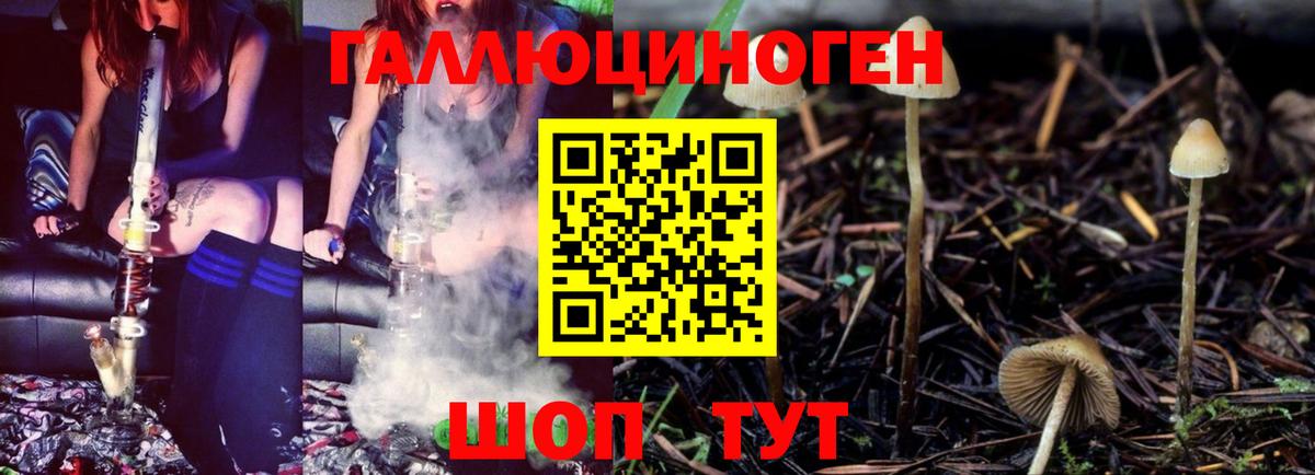 Псилоцибиновые грибы ЛСД Симферополь