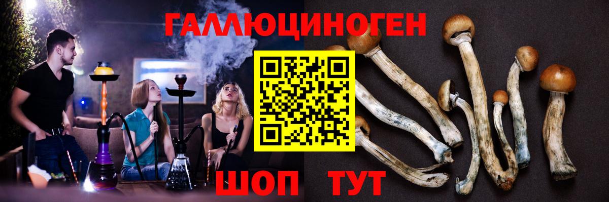 купить закладку  Псилоцибиновые грибы MAGIC MUSHROOMS  Галлюциногенные грибы мухоморы  Вход с VPN  Симферополь 